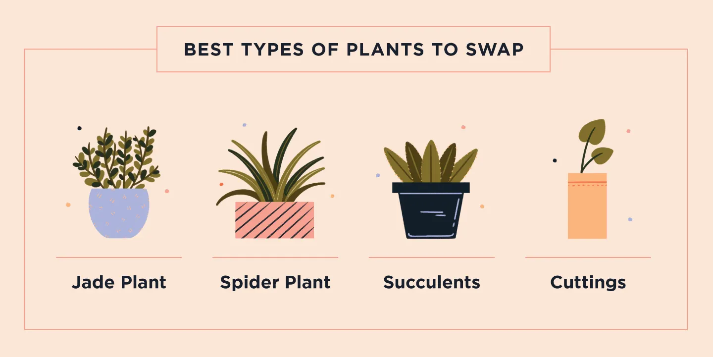 Your Guide to Hosting a Neighborhood Plant Swap