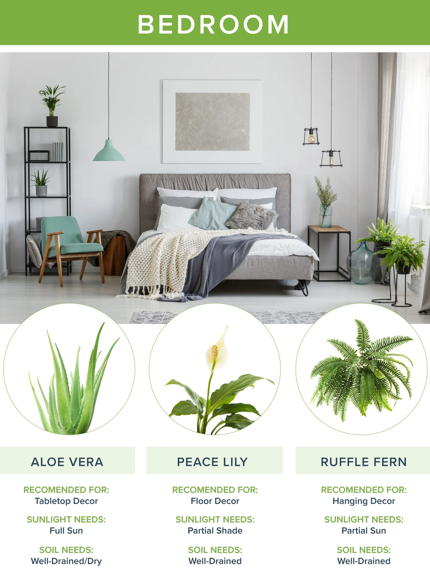 best-house-plants-bedroom