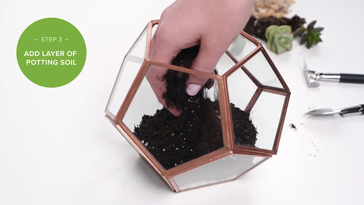 How to Make a Terrarium in 5 Easy Steps | ProFlowers