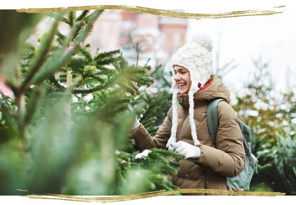 How to Keep a Christmas Tree Fresh + 6 Care Tips