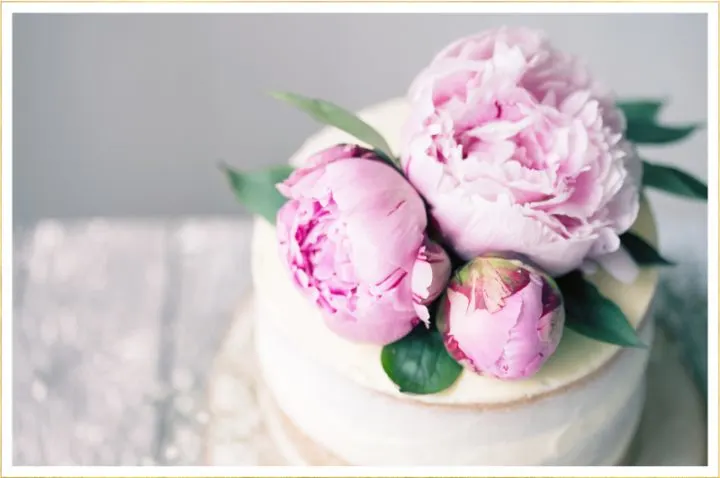 hero-floral-cakes-720x478