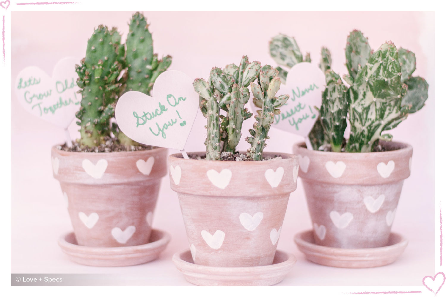 how to surprise your boyfriend heart potted plant
