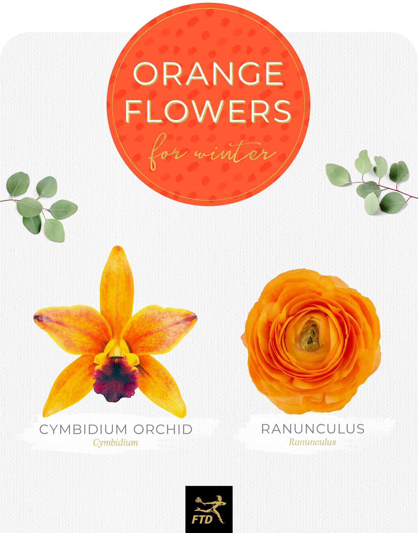 Yellow Orange Flowers Names