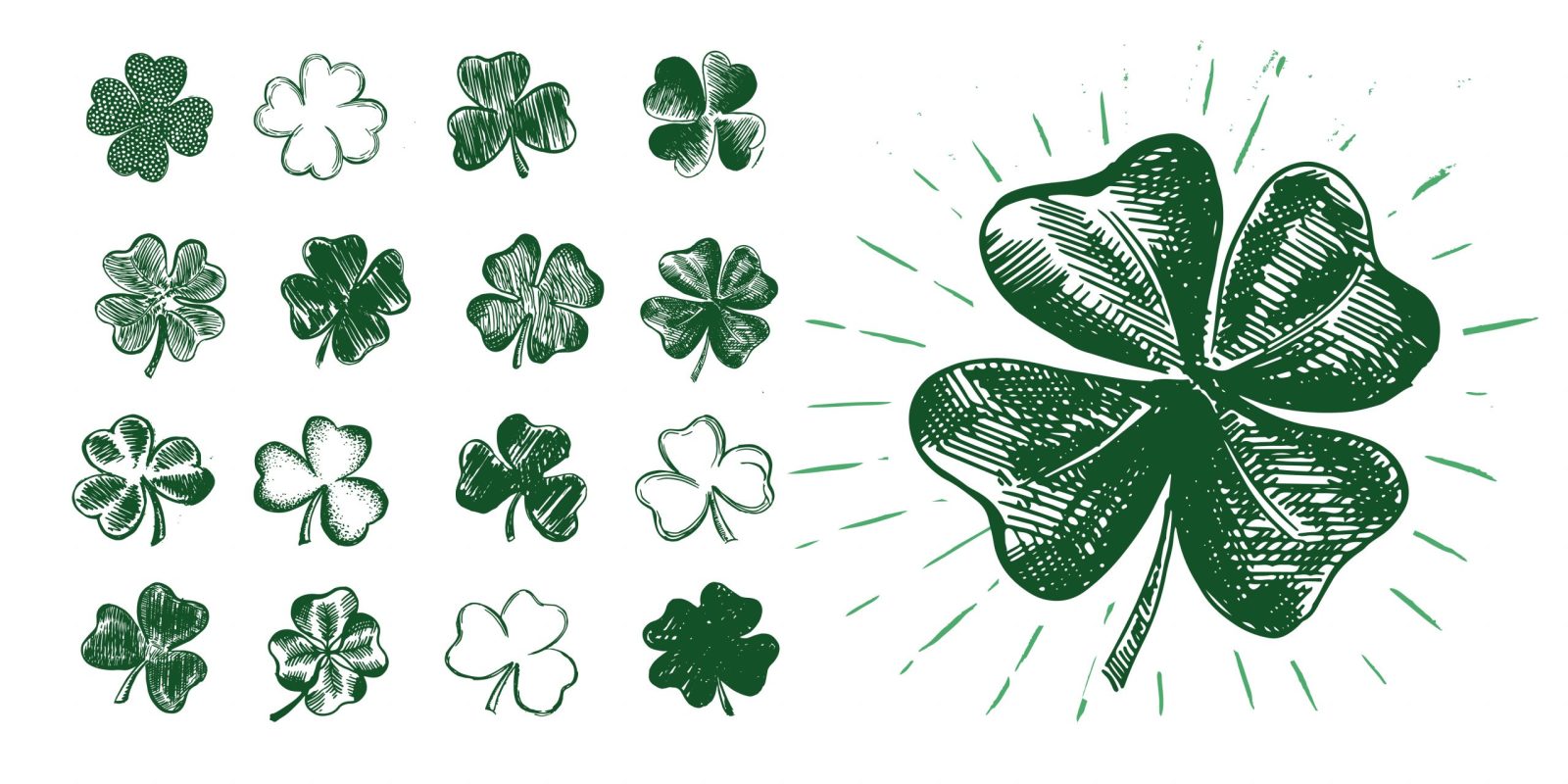 7 Four-Leaf Clover Facts to Know for St. Patrick's Day
