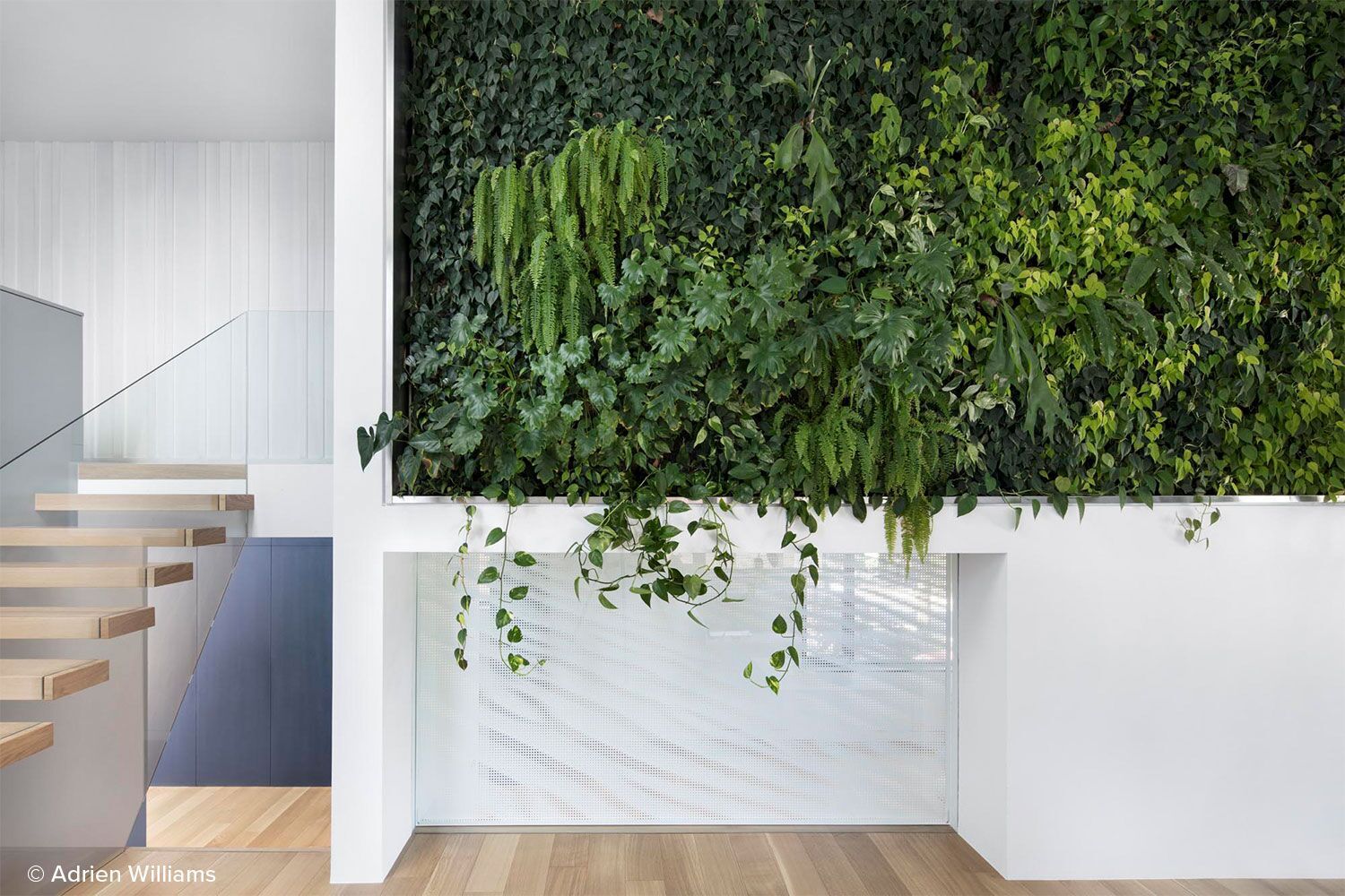 interior living wall