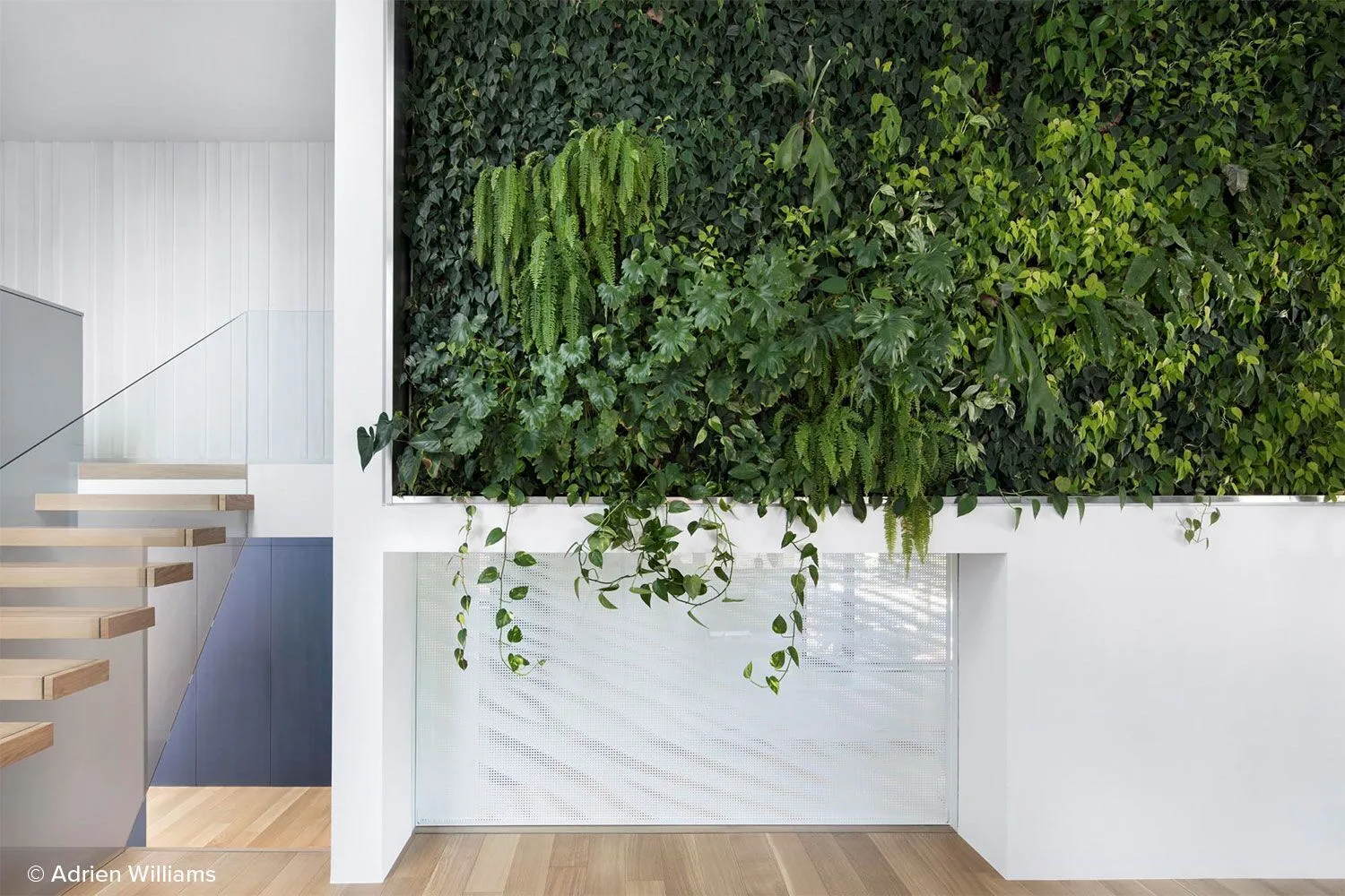 indoor-living-wall