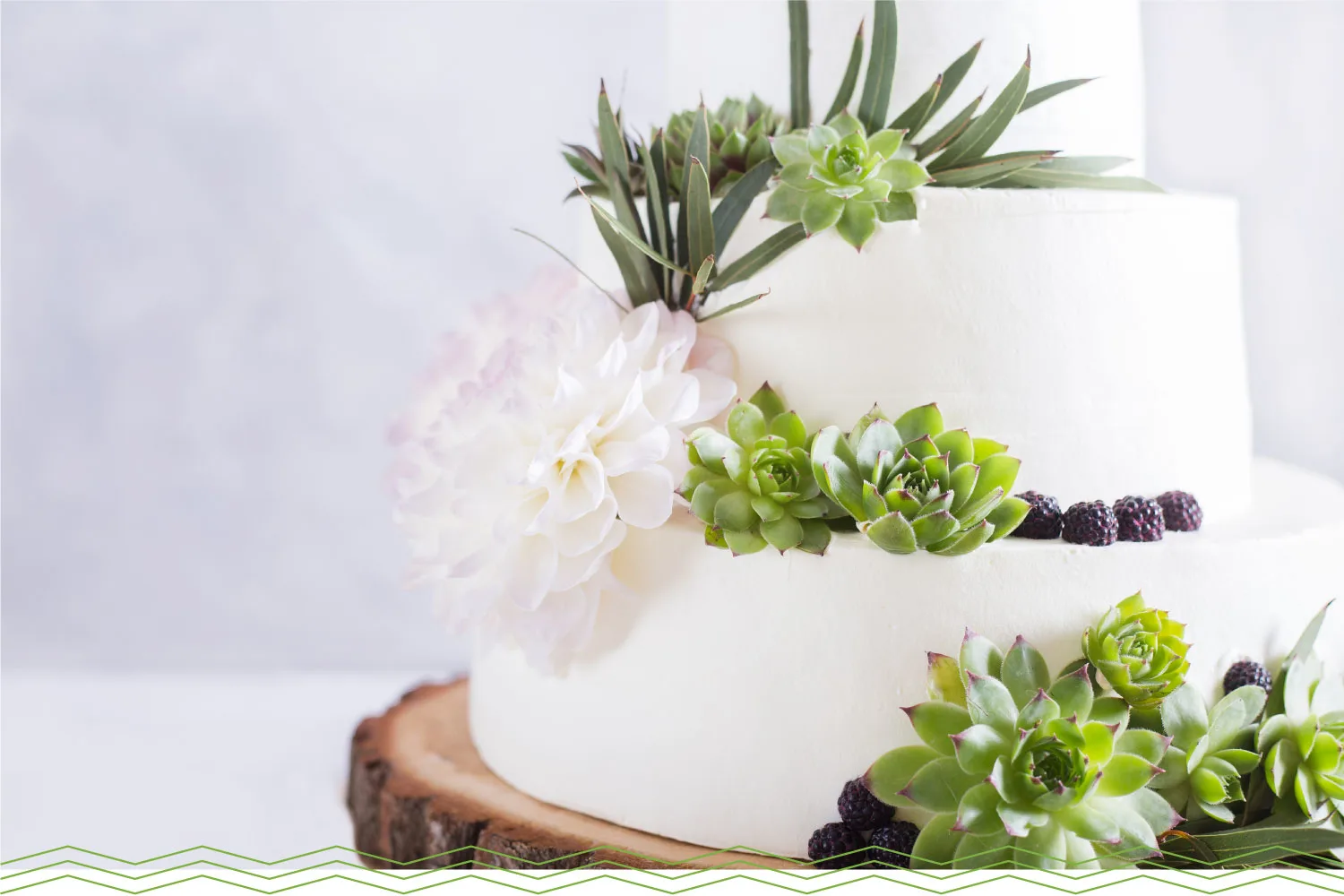 mini-succulents-cake-1