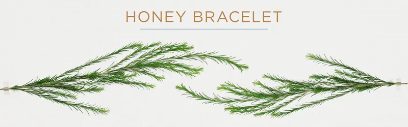 honey-bracelet