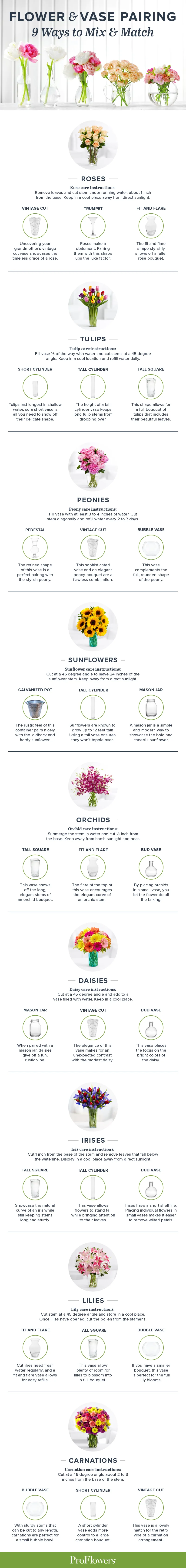 Flower & Vase Pairing: 9 Ways to Mix & Match