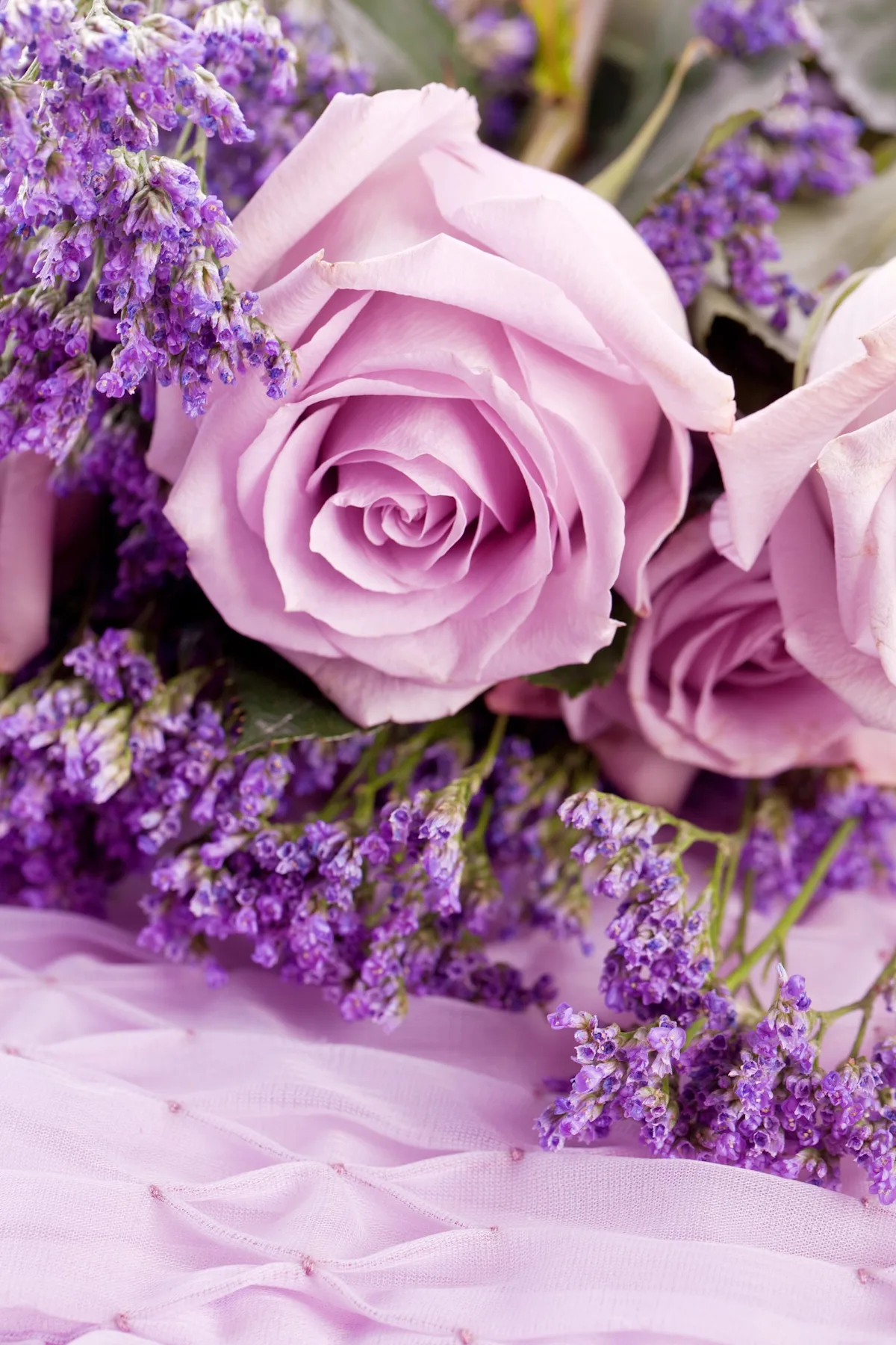 History and Meaning of Lavender Roses ProFlowers Blog