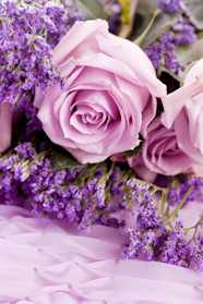 History And Meaning Of Lavender Roses ProFlowers Blog