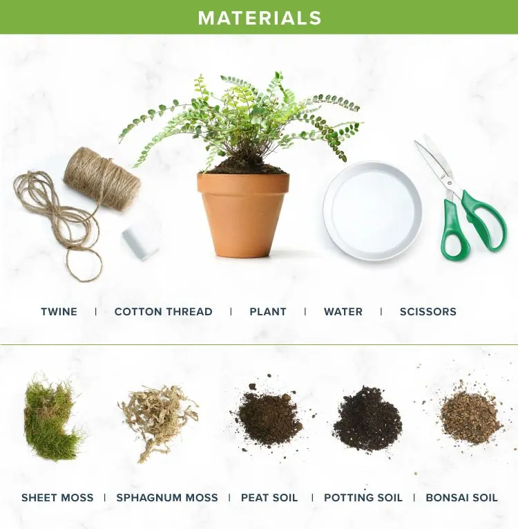 how-to-make-a-kokedama-string-garden-materials