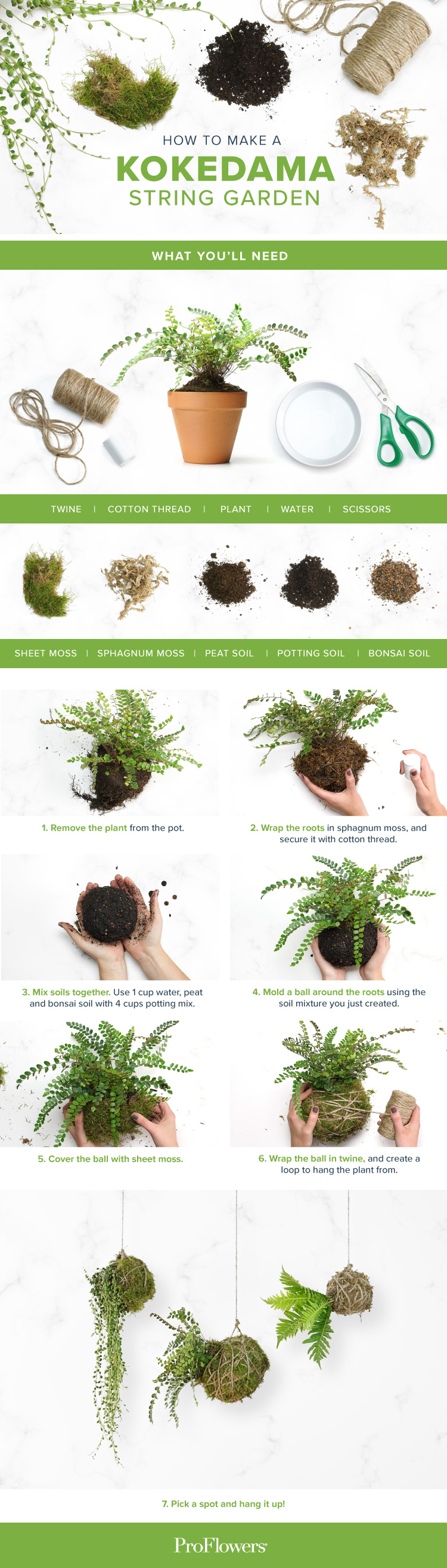 Learn the Japanese Art of Kokedama - Step By Step Tutorial