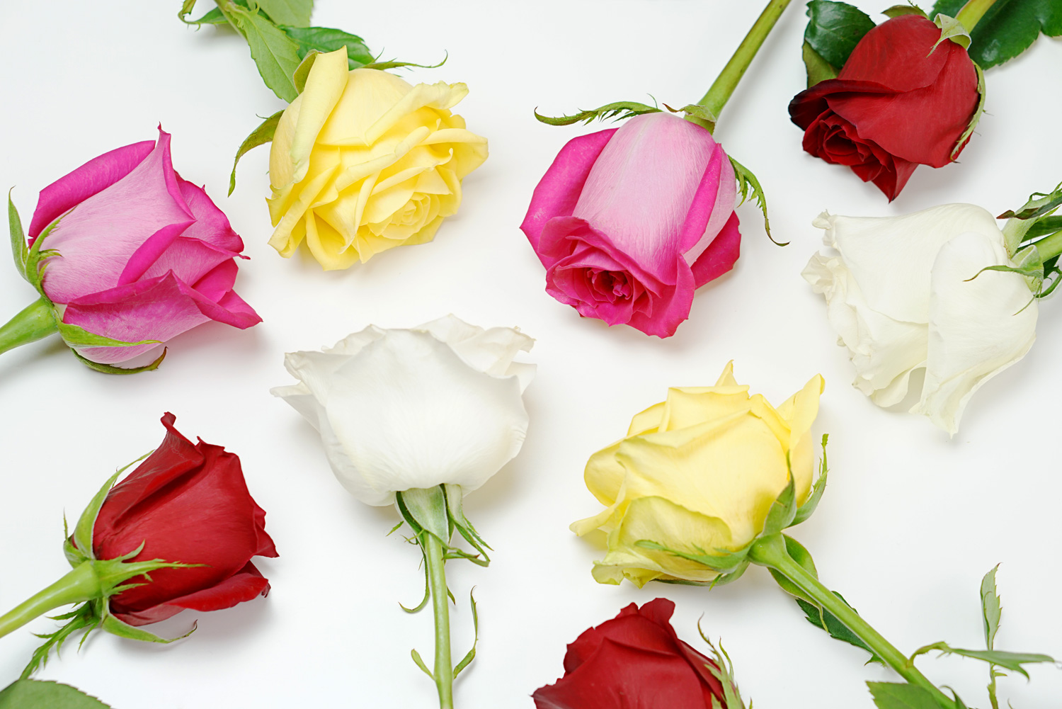 How to Make Flowers Last Longer: 9 Tricks | ProFlowers