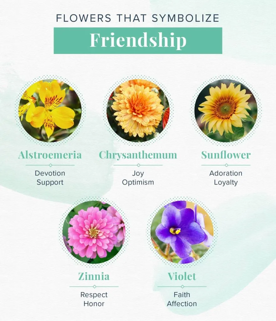 friendship-flowers-meanings