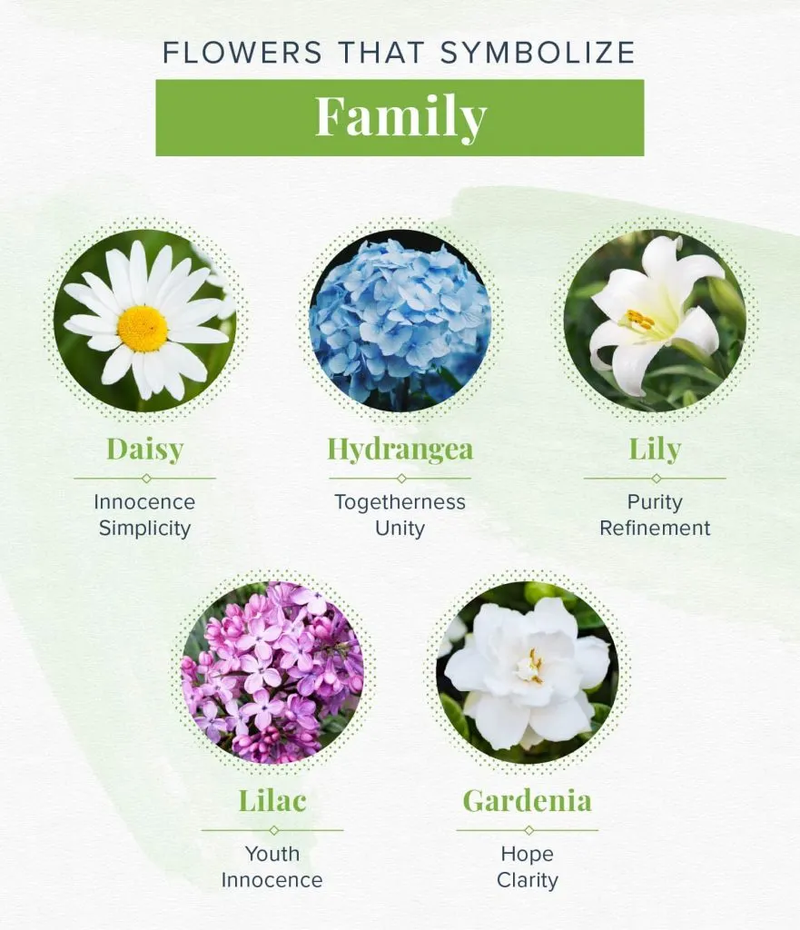 family-flowers-meanings