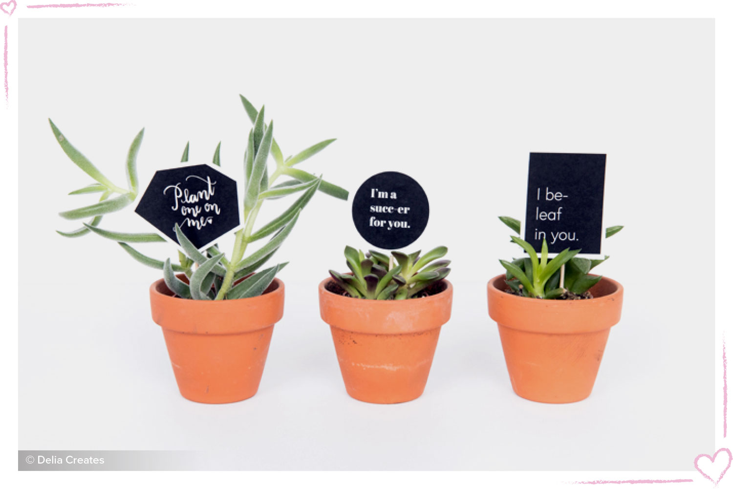 how to surprise your boyfriend plant printables
