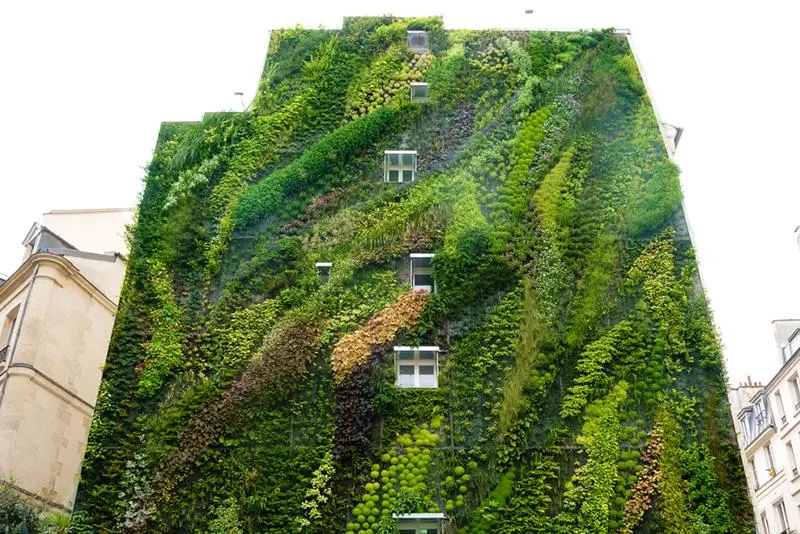 Think Vertical: Ideas for the Vertical Garden