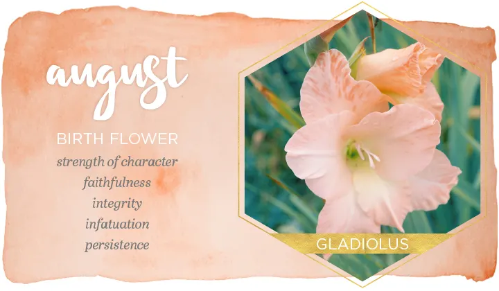 august-flower