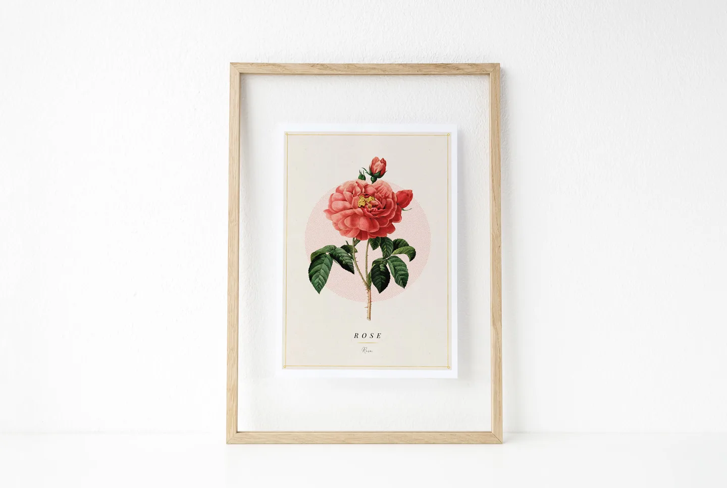 botanical-print-rose