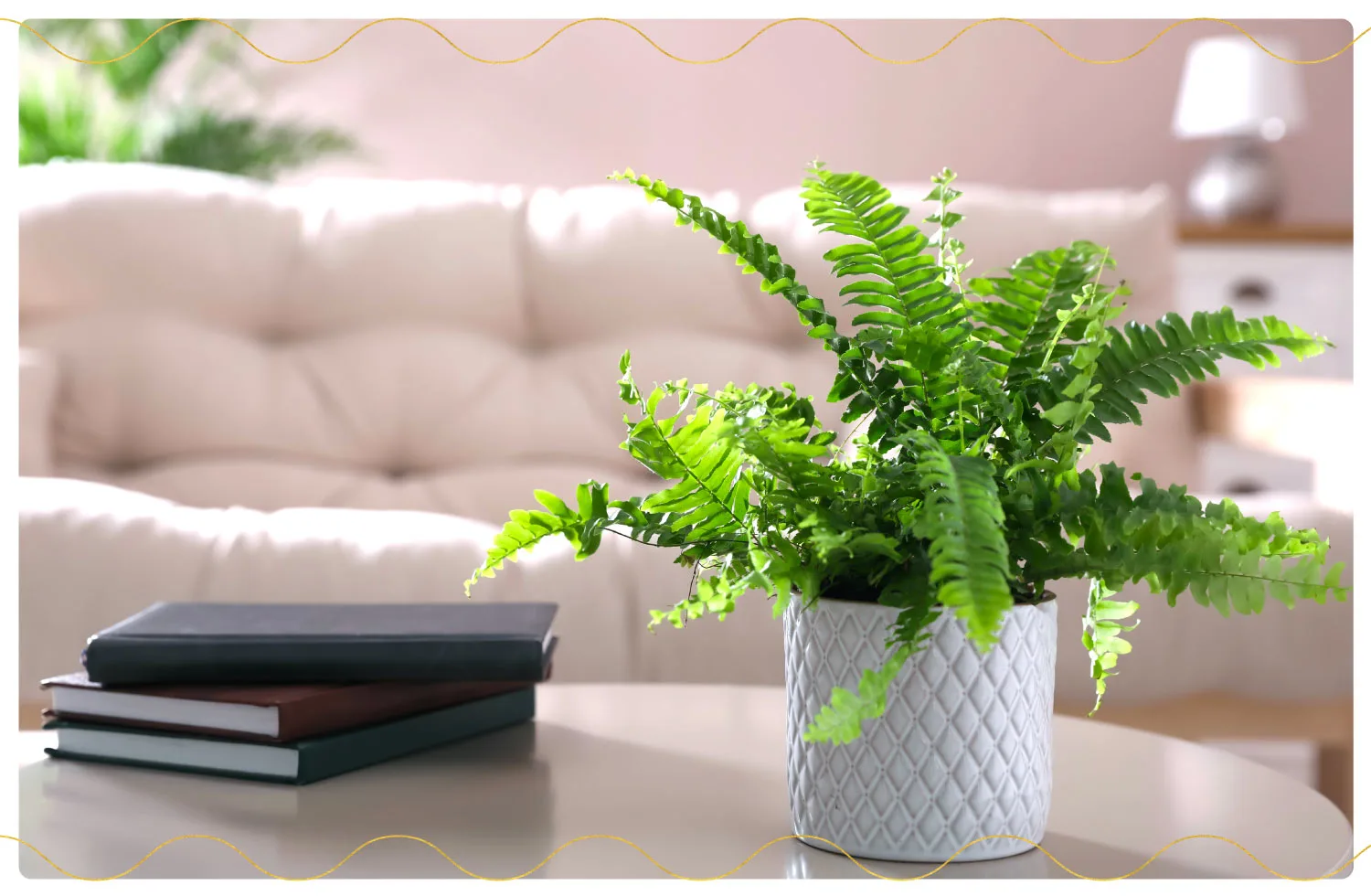 The 23 Best Air-Purifying Plants for Your Home