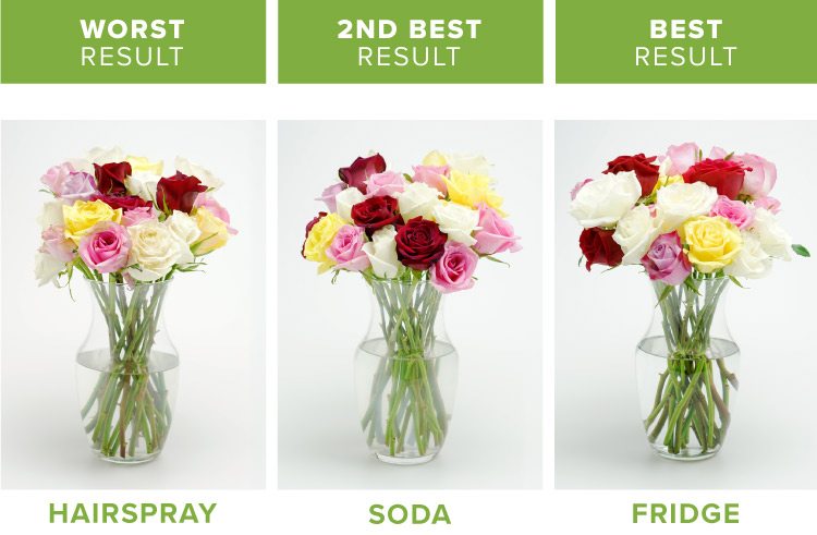How to Make Flowers Last Longer, According to Florists