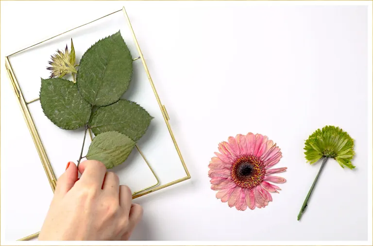 How to Press Flowers (With Botanical Print Tutorial!) - FTD.com