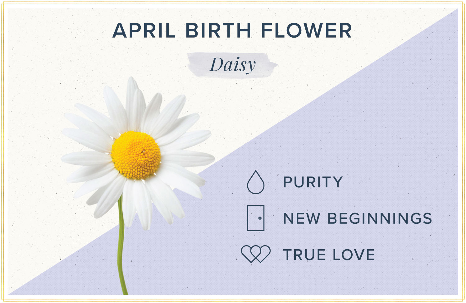 Get Happy with April Birth Flowers - Healthy Insights