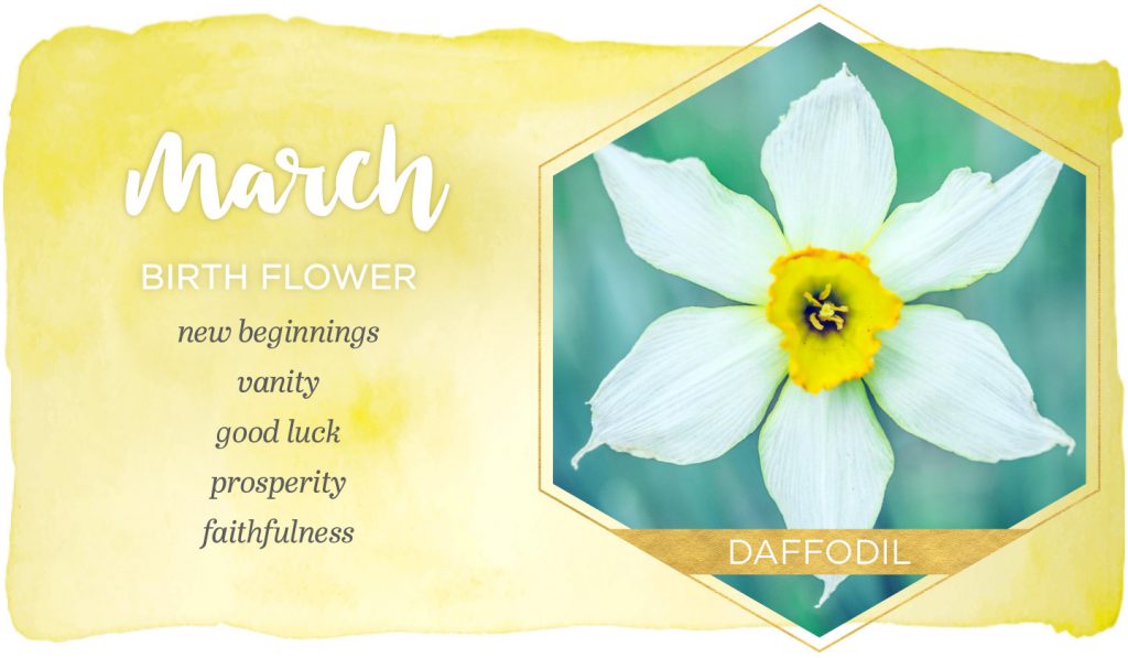 march birth flowers