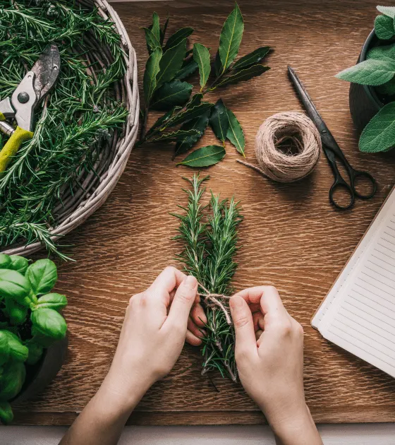 herbs-for-good-health