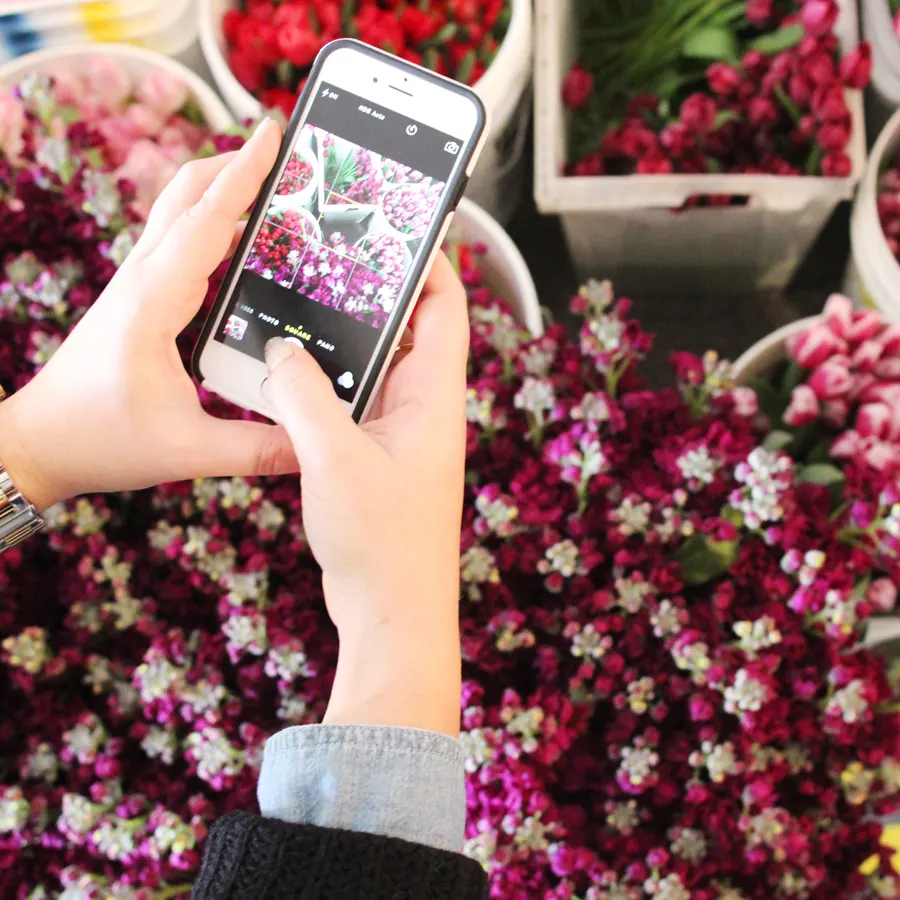 instagramming-the-flowers