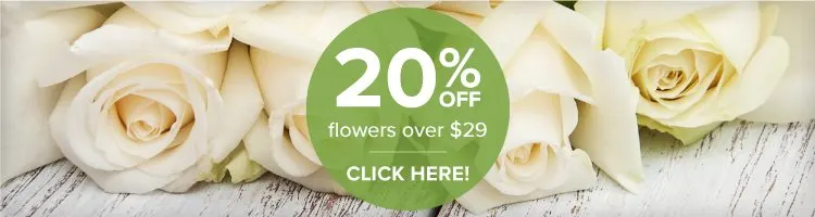 pf-coupon-white-roses-1