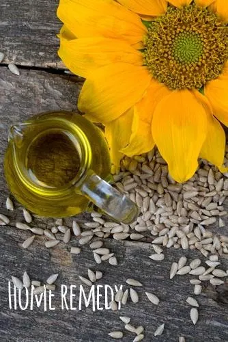 The Power of the Sun…flower: 3 Health Benefits of Sunflowers