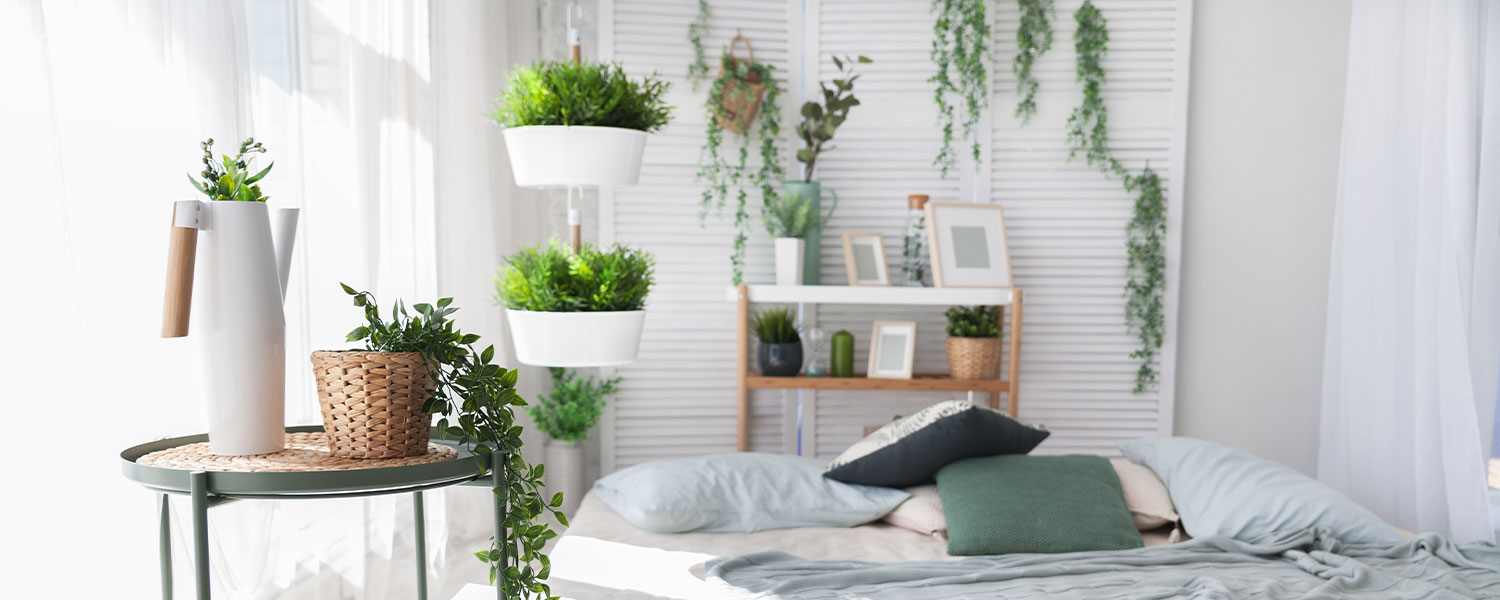  Indoor Hanging Plants To Decorate Your Home Proflowers - Can You Have Real Plants In Your Bedroom