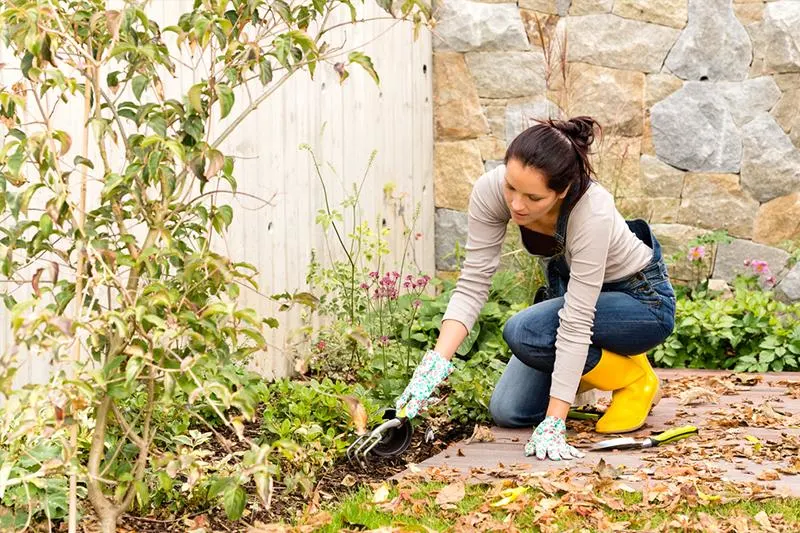 Cool-Season Gardening Tips: How to Plant for Fall
