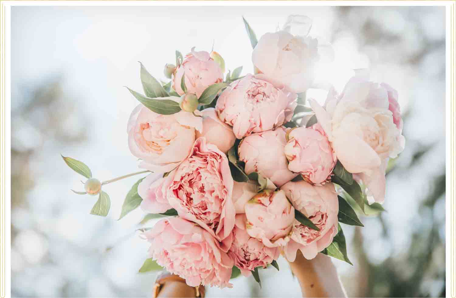 80 Quotes About Flowers to Freshen Your Day - ProFlowers Blog