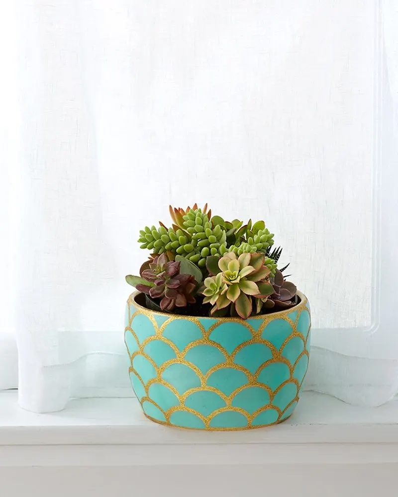 5 Ways to Make Flower Pots Pop