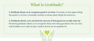 42 Ways To Practice Gratitude Everyday ProFlowers