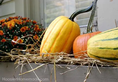 Fall Décor: Transitioning Your Home for the Season