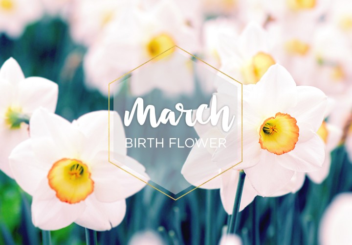 march birth flowers