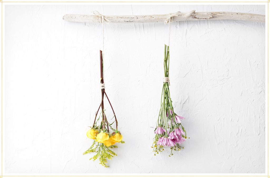 How to Dry Flowers