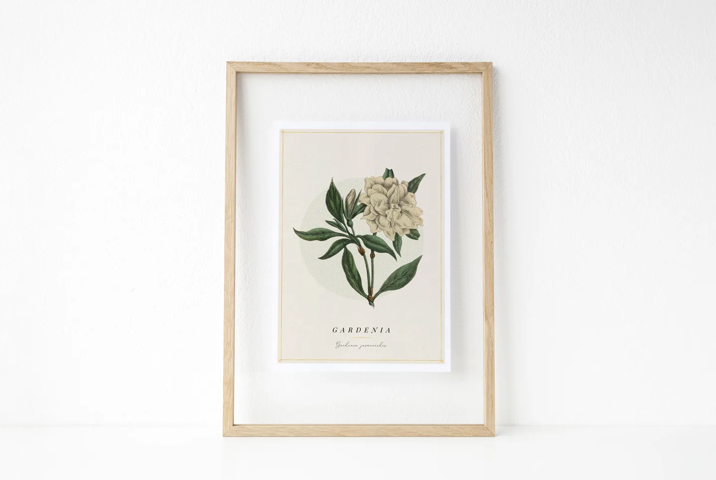 botanical-print-gardenia