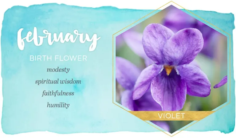 Birth Month Flowers and Their Meanings