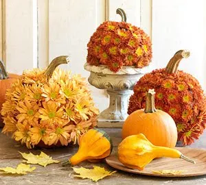 How to Dress Up Pumpkins with Flowers this Fall