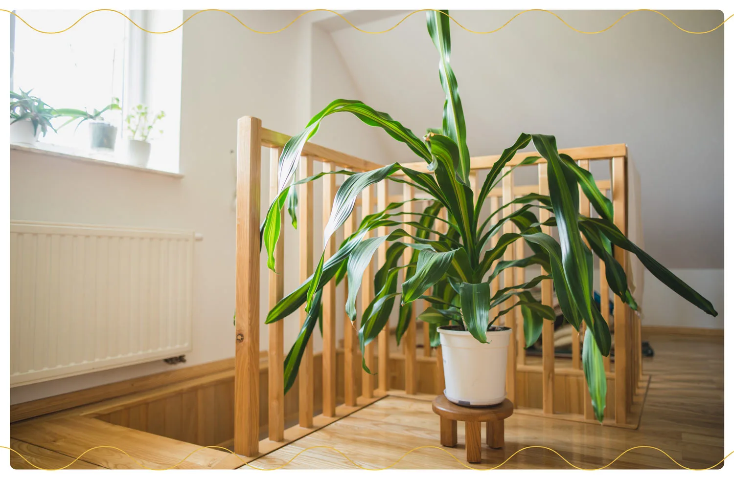 The 23 Best Air-Purifying Plants for Your Home