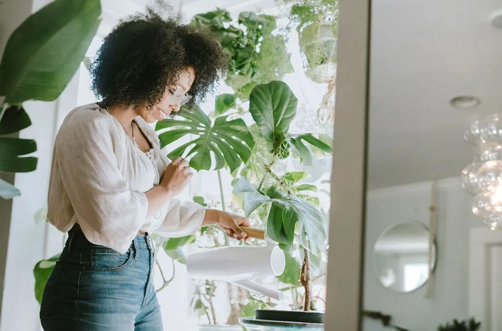 Women watering plants indoor