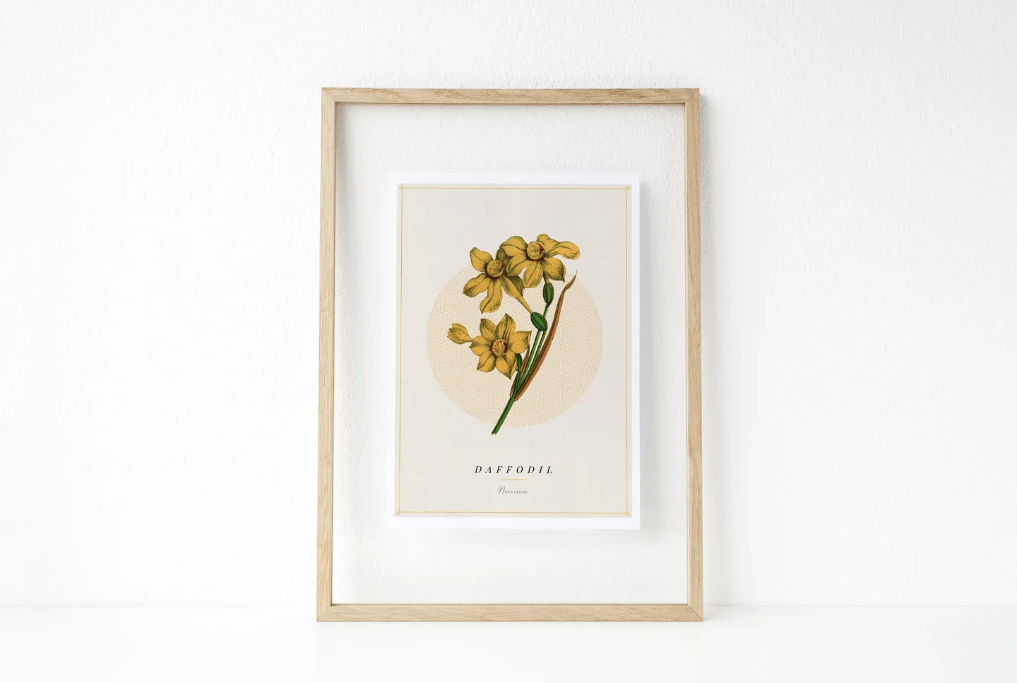 botanical-print-daffodil