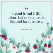 120 Friendship Quotes Your Best Friend Will Love