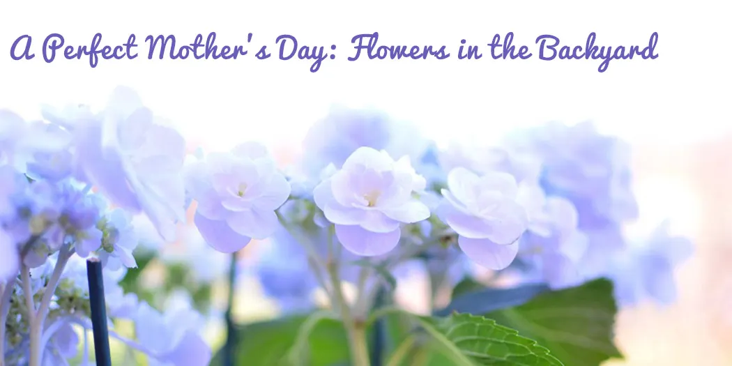 A Perfect Mother’s Day: Flowers in the Backyard