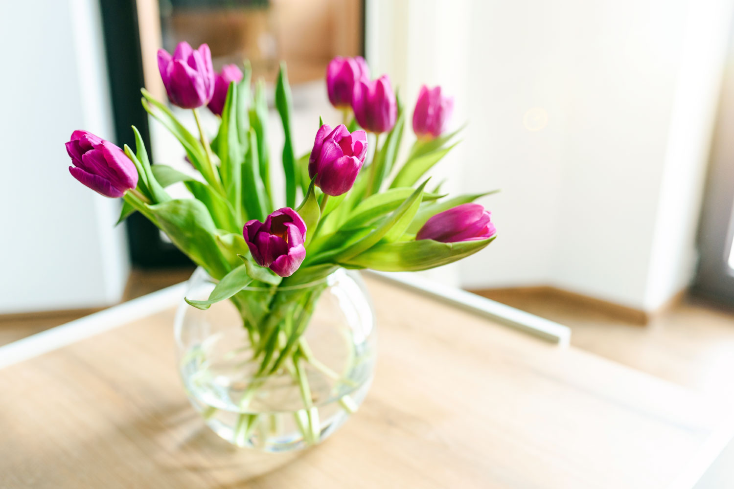 The 10 Best Flowers To Send For Condolences – Bloombar Flowers